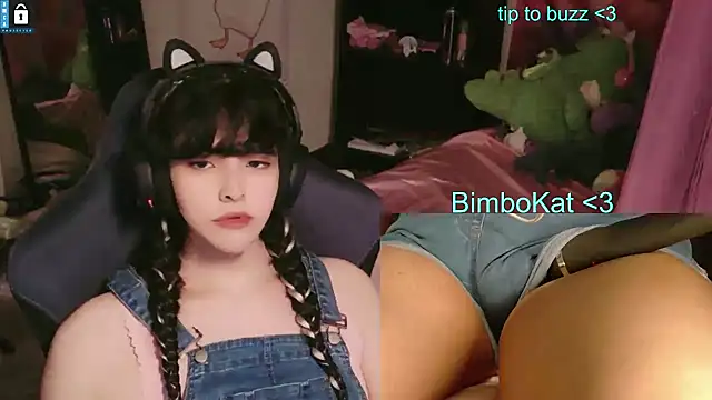 BimboCat Show in webcam