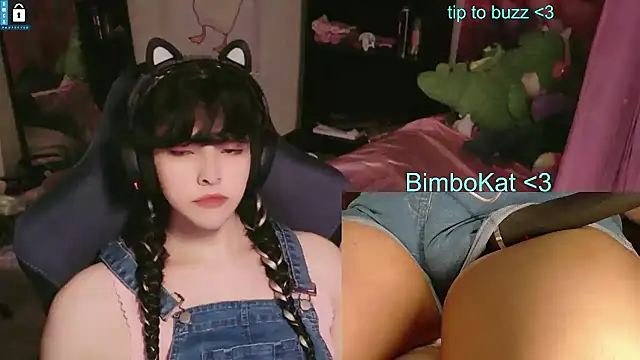 BimboCat webkamerás műsora