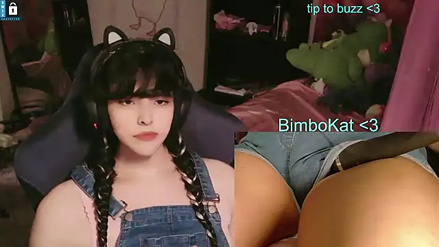 BimboCat Show in webcam
