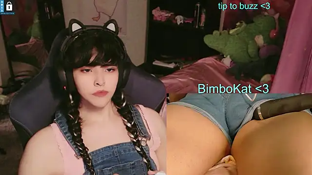 BimboCat: вебкам-шоу