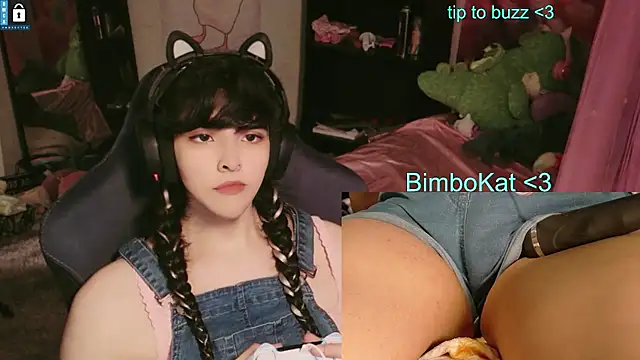 BimboCat webkamerás műsora