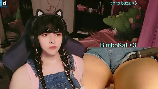 BimboCat Show Webcam