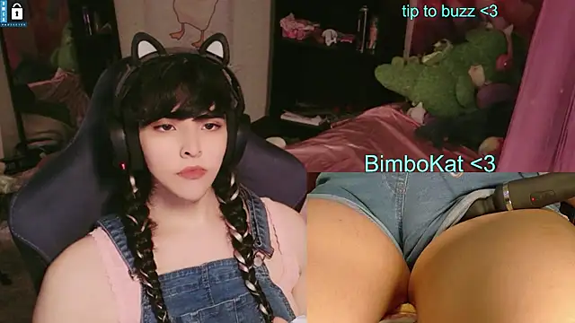 BimboCat Show in webcam