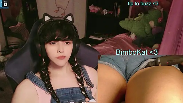 Show webcam de BimboCat