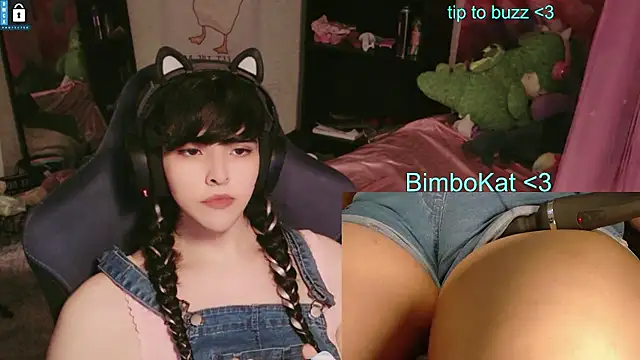 Show Webcam de BimboCat