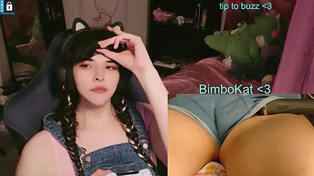 BimboCat Show in webcam