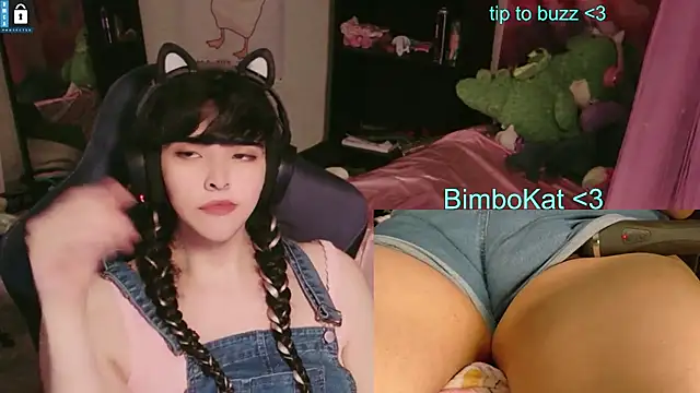 BimboCat: вебкам-шоу