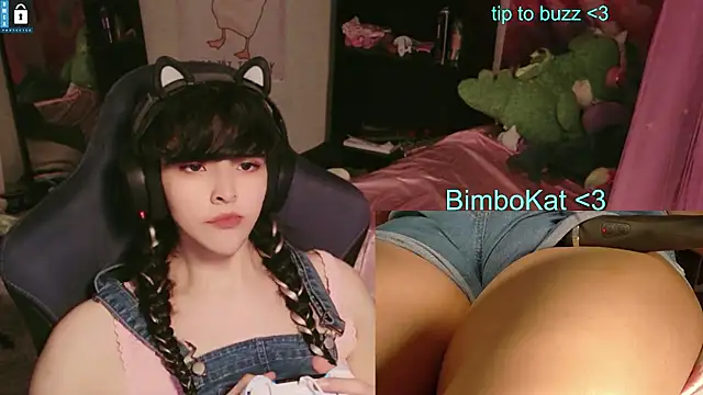 BimboCat – Kamerová šou