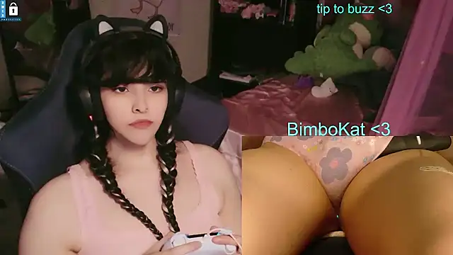 Show webcam de BimboCat