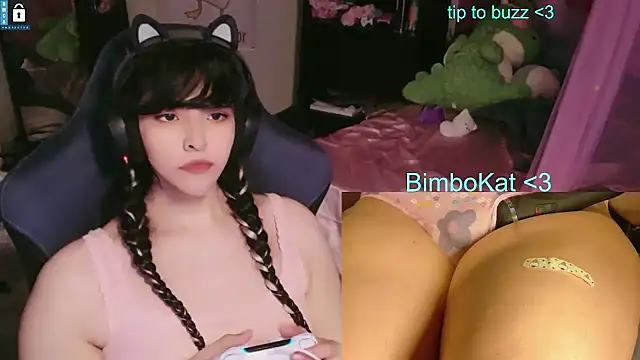 Show webcam de BimboCat