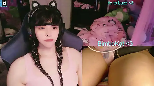 BimboCat: вебкам-шоу