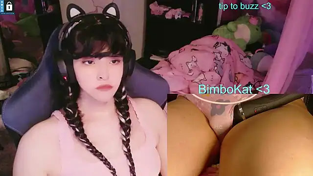 BimboCat: вебкам-шоу