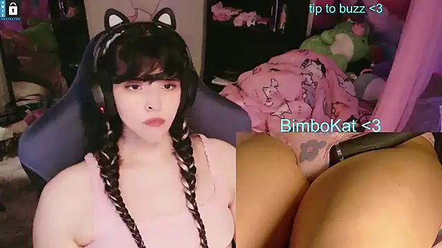 BimboCat: вебкам-шоу
