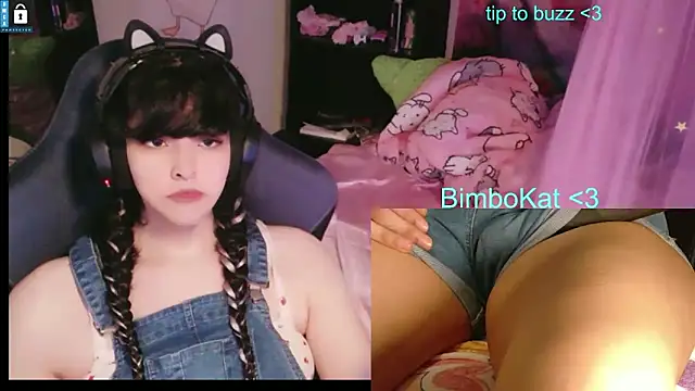 BimboCat 웹캠 쇼