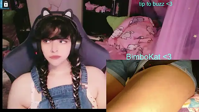 BimboCat – Kamerová šou