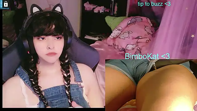 BimboCatのウェブカメラショー