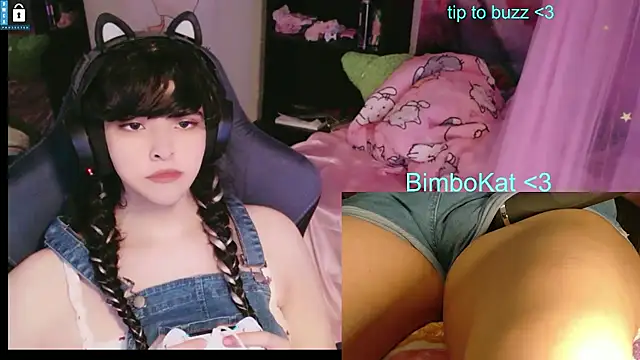 Show Webcam de BimboCat