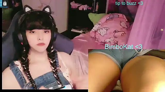 BimboCat Show Webcam
