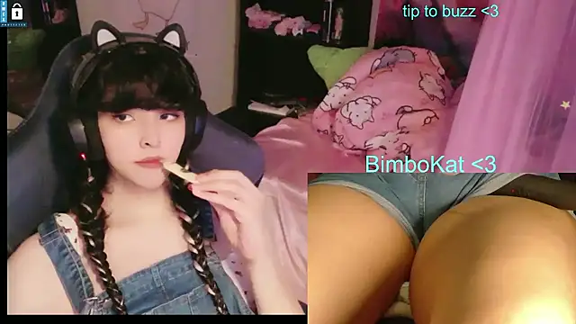 BimboCat: διαδικτυακό σόου στην κάμερα