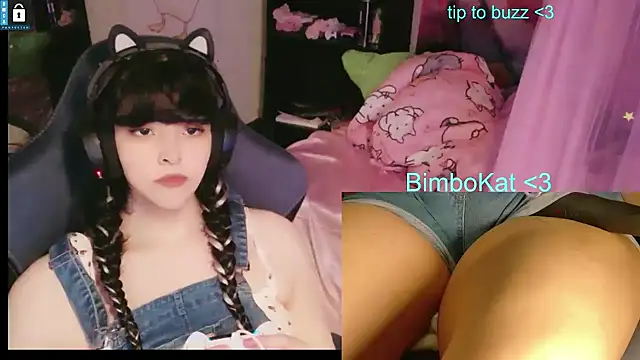 BimboCat Show Webcam