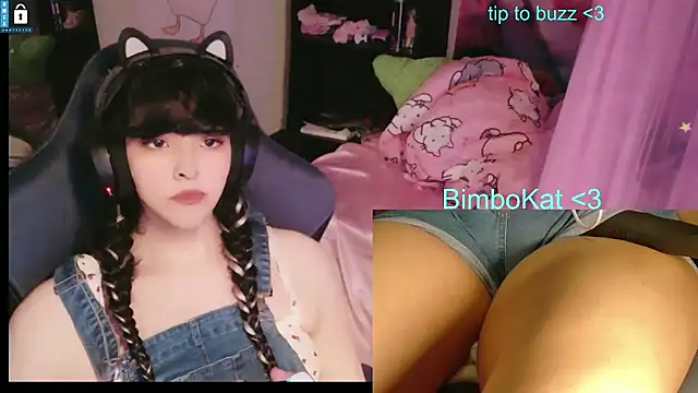 Show de BimboCat na webcam