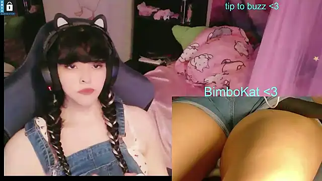 הופעת וובקאם של BimboCat