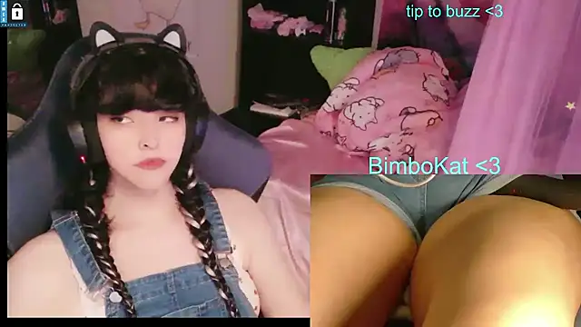 Show webcam de BimboCat