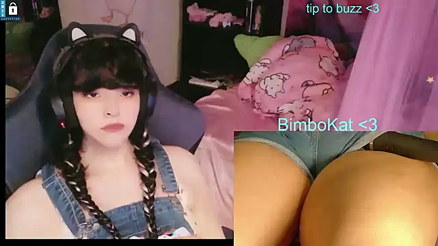 Show Webcam de BimboCat