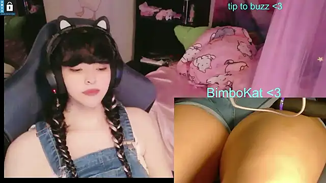 BimboCatのウェブカメラショー