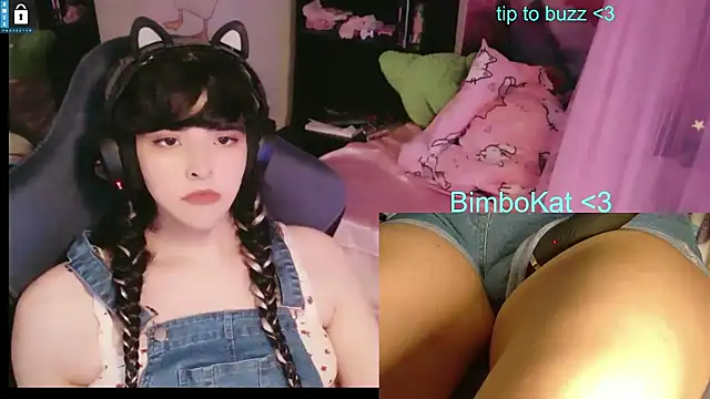 BimboCat: διαδικτυακό σόου στην κάμερα