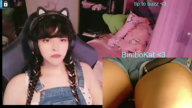 Show Webcam de BimboCat
