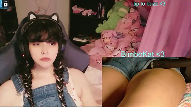 Show Webcam de BimboCat