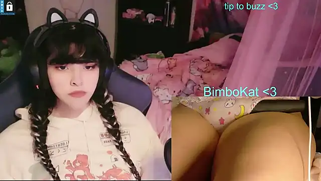 BimboCat Show Webcam
