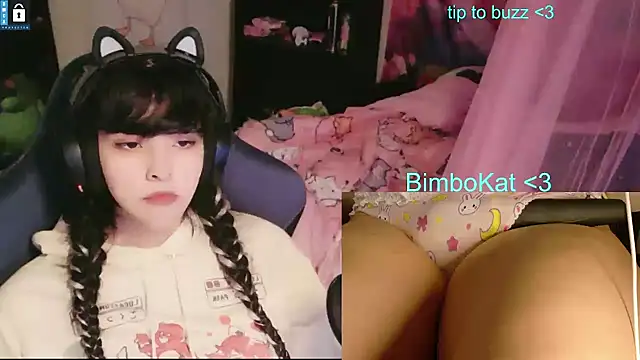 BimboCat Show Webcam