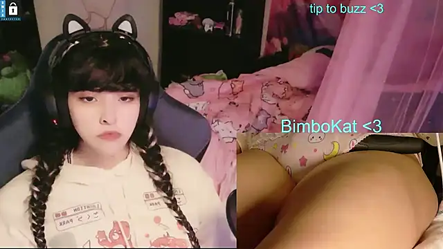 BimboCat: διαδικτυακό σόου στην κάμερα