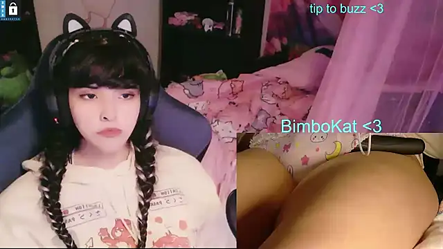 BimboCat – Kamerová šou