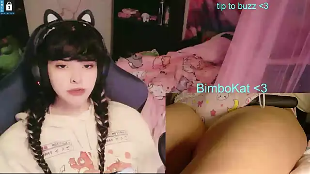 BimboCat webkamerás műsora