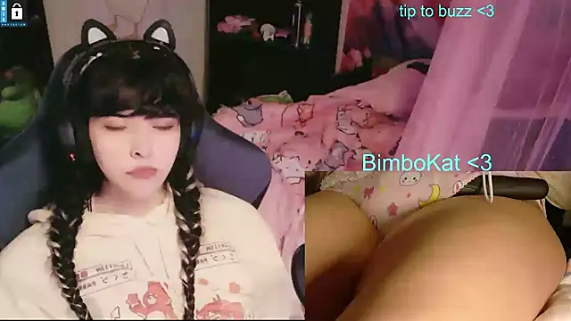 BimboCat webkamerás műsora