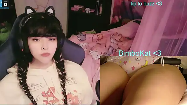 BimboCat: διαδικτυακό σόου στην κάμερα