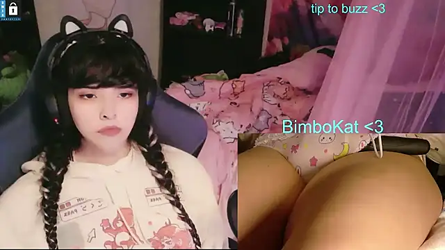 Show Webcam de BimboCat