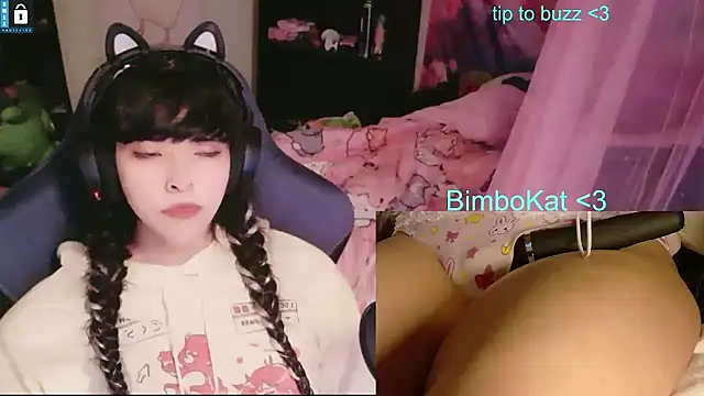 BimboCat Show in webcam