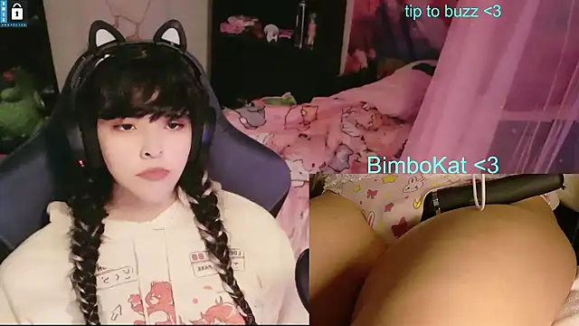 Pokazy przed kamerk ą – BimboCat