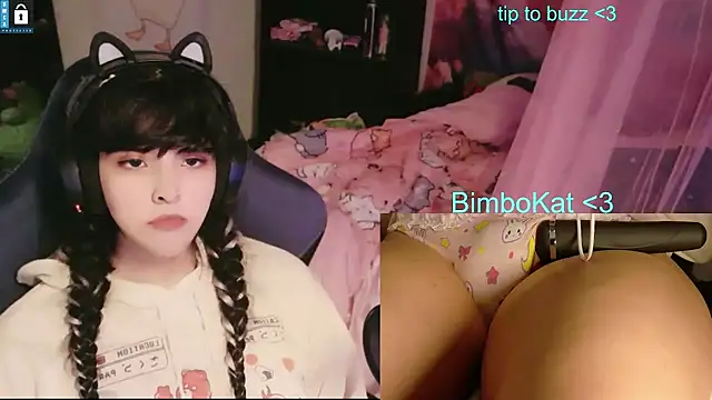 Show webcam de BimboCat