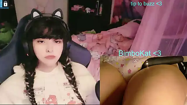 BimboCat Pertunjukan Webcam
