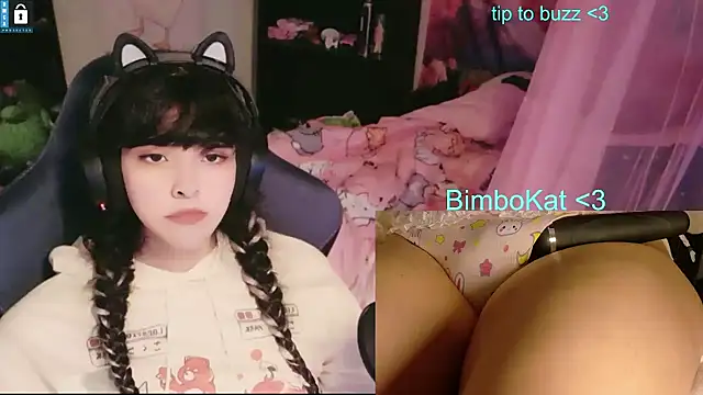 Pertunjukan Kamera Web BimboCat