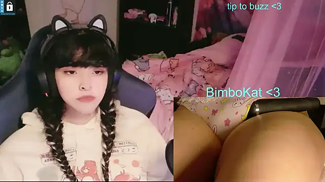 Show webcam de BimboCat