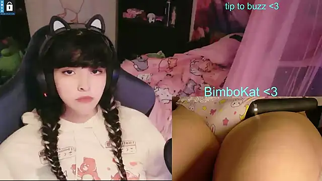 Show webcam de BimboCat
