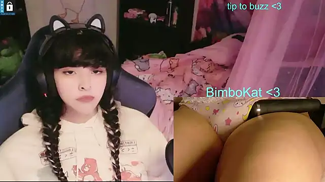BimboCatのウェブカメラショー