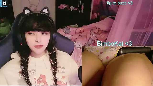 BimboCat: вебкам-шоу