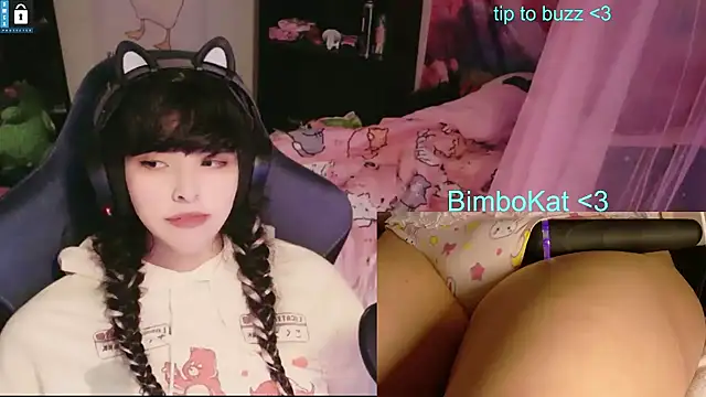 BimboCat: διαδικτυακό σόου στην κάμερα